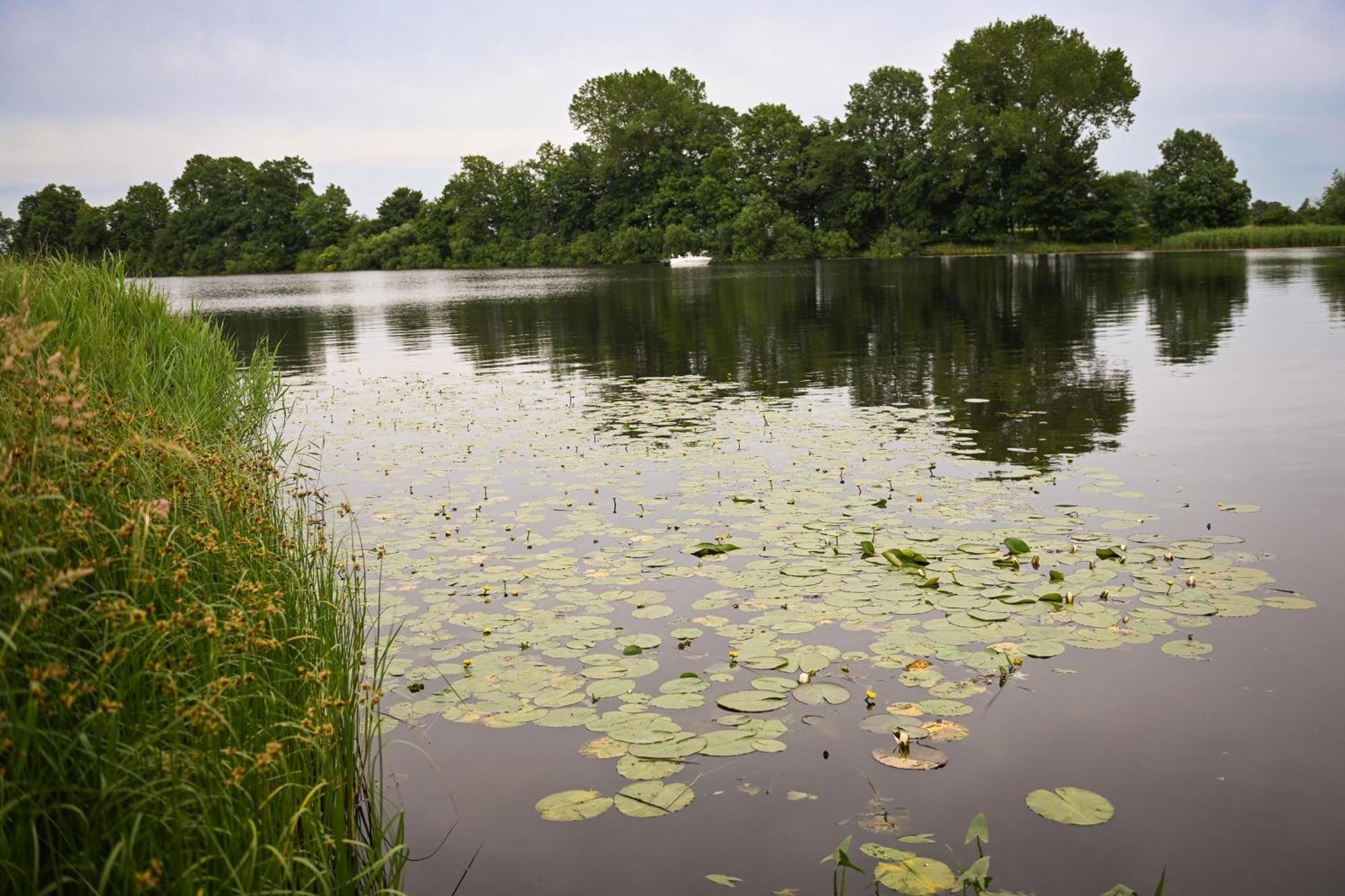 Ferienpark Suederstapel - Eiderlodge 3 Bagian luar foto